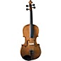Open Box Cremona SVA-175 Premier Student Series Viola Outfit Level 1 16 in. Outfit thumbnail