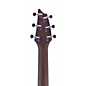 Breedlove American Series C25/SRe Herringbone Acoustic-Electric Guitar Natural