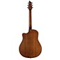 Breedlove Passport D250/SMe Acoustic Guitar Natural