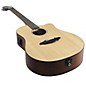 Breedlove Passport D250/SMe Acoustic Guitar Natural