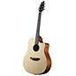 Breedlove Passport D250/SMe Acoustic Guitar Natural