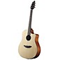 Breedlove Passport D250/SMe Acoustic Guitar Natural