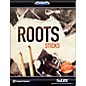Toontrack Roots - Sticks SDX thumbnail