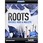Toontrack Roots - Brushes, Rods & Mallets SDX thumbnail