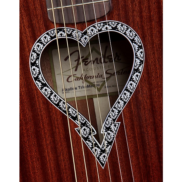 Open Box Fender Artist Design Series Alkaline Trio Malibu