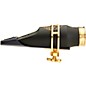 Open Box Theo Wanne GAIA Alto Saxophone Mouthpiece Level 2 Size 8 190839320933