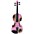 Rozanna's Violins Sunflower Delight Pink Series Vio... Rozanna's Violins Sunflower Delight Pink Series Violin Outfit 3/4 Size