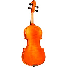 Open Box Rozanna's Violins Sunflower Delight Series Violin Outfit Level 2 3/4 Size 190839114594