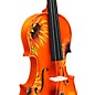 Rozanna's Violins Sunflower Delight Series Violin Outfit 3/4 Size