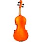 Open Box Rozanna's Violins Sunflower Delight Series Violin Outfit Level 1 4/4 Size