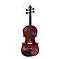 Open Box Rozanna's Violins Butterfly Dream Series Violin Outfit Level 1 1/2 Size thumbnail