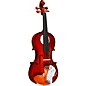 Open Box Rozanna's Violins Mystic Owl Series Violin Outfit Level 1 4/4 Size thumbnail