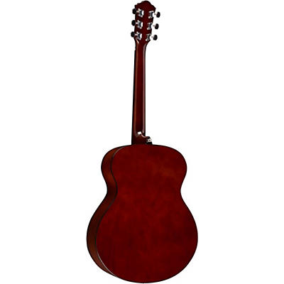 Ibanez Ijvc50 Jampack Grand Concert Acoustic Guitar Pack Natural for sale