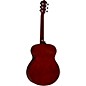 Open Box Ibanez IJVC50 Jampack Grand Concert Acoustic Guitar Pack Level 2 Natural 190839130792