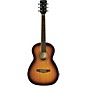Open Box Ibanez PN15 Parlor Size Acoustic Guitar Level 2 Brown Sunburst 190839091208