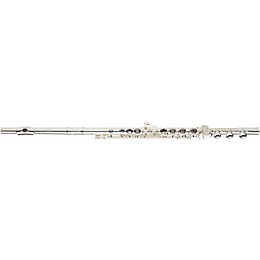 Open Box Gemeinhardt 3SB NG New Generation Flute Level 2 Offset Body 194744469411