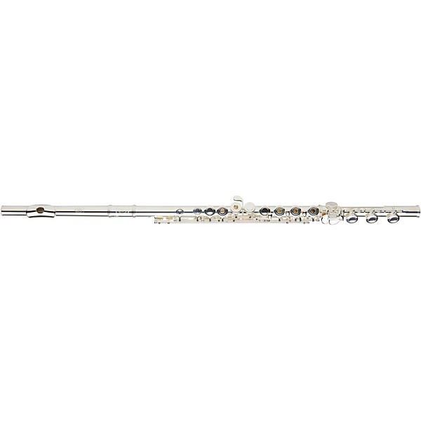 Open Box Gemeinhardt 3SB NG New Generation Flute Level 2 Offset Body 194744469411
