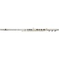 Open Box Gemeinhardt 3SB NG New Generation Flute Level 2 Offset Body 194744469411 thumbnail