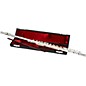 Open Box Gemeinhardt 3SB NG New Generation Flute Level 2 Offset Body 194744469411