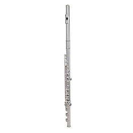 Blemished Gemeinhardt 3SB NG New Generation Flute Level 2 Inline Body 888365352251