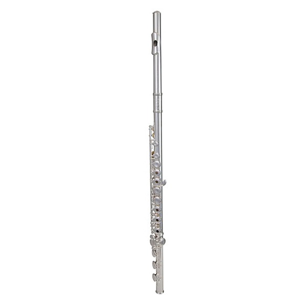 Open Box Gemeinhardt 3SB NG New Generation Flute Level 2 Inline Body 888365352251