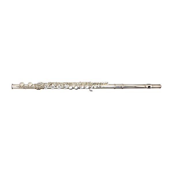 Gemeinhardt Alto Flute Solid Silver Body, and Headjoint