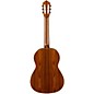 Hofner Solid Cedar Top Rosewood Body Classical Acoustic Guitar High Gloss Natural