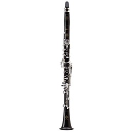 Open Box Buffet Crampon Divine Bb Professional Clarinet Level 2 Bb Soprano clarinet 197881122225