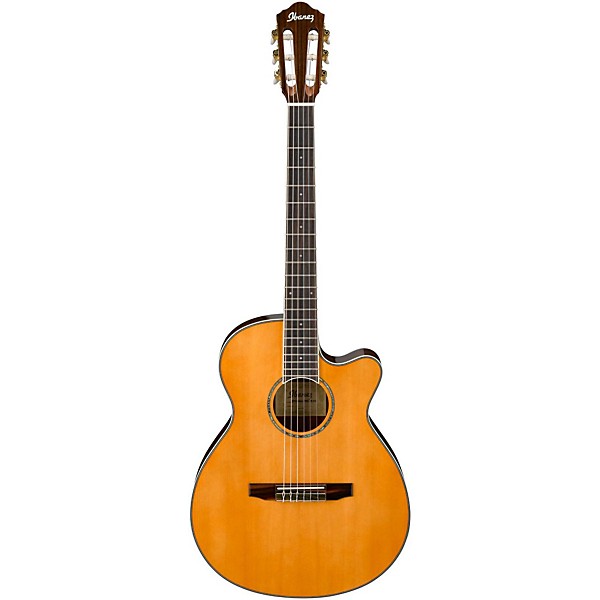 Open Box Ibanez AEG10NII Nylon String Cutaway Acoustic-Electric