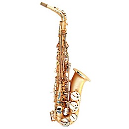 Oleg Maestro Alto Saxophone Gold Plated