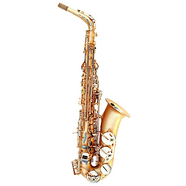 Oleg Maestro Alto Saxophone Gold Plated