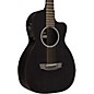 RainSong P12 6-String Parlor with 12-Fret NS Neck Clear Gloss thumbnail