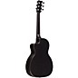 RainSong P12 6-String Parlor with 12-Fret NS Neck Clear Gloss