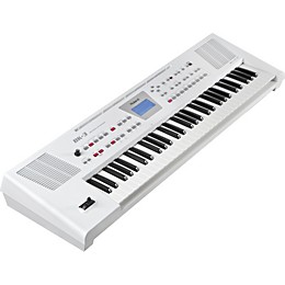Roland BK-3 Backing Keyboard White