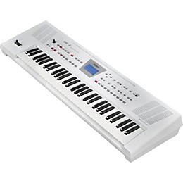 Roland BK-3 Backing Keyboard White