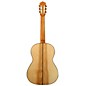 Kremona Rosa Bella Flamenco-Style Nylon Guitar Natural