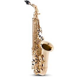 P. Mauriat PMSA-57GC Intermediate Alto Saxophone Jazz Pa... P. Mauriat PMSA-57GC Intermediate Alto Saxophone Beginner Package