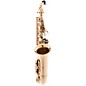 P. Mauriat PMSA-57GC Intermediate Alto Saxophone Beginner Package