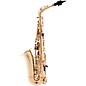 P. Mauriat PMSA-57GC Intermediate Alto Saxophone Beginner Package