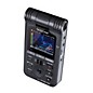 TASCAM DR-V1HD Handheld Video / Linear PCM Recorder