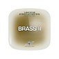 Vienna Symphonic Library Brass II Full Library (Standard + Extended) Software Download thumbnail