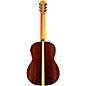 Cordoba C12 SP Classical Guitar Natural