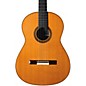 Open Box Cordoba Fusion Orchestra Pro CD Classical Guitar Level 2 Natural 888365467689 thumbnail