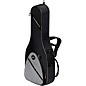 Open Box Ultimate Support USS1-AG Series ONE Acoustic Guitar Bag Level 1 thumbnail