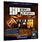 XLN Audio ADpak Session Percussion - Expansion Pack for Addictive Drums thumbnail