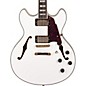 Open Box D'Angelico Excel Series DC Semi-Hollow Electric Guitar with Stopbar Tailpiece Level 2 White 190839241061 thumbnail