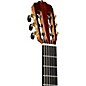 Open Box Cordoba FCWE Gipsy Kings Reissue Nylon-String Flamenco Acoustic-Electric Guitar Level 2  194744418891