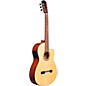 Open Box Cordoba Fusion 12 Natural Spruce Classical Electric Guitar Level 1 Natural Spruce Top
