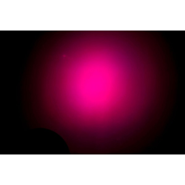 CHAUVET Professional COLORado 1-Quad Tour