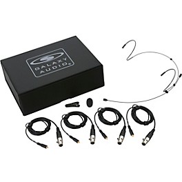 Galaxy Audio HSM4 Dual Ear Headset Mic With 4 Galaxy Audio/AKG Connector Cables, Windscreen, Clip and Case Black